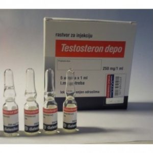 Brauche mehr Zeit? Lesen Sie diese Tipps, um Enanject (Testosterone Enanthato) 250 mg Eurochem Labs zu beseitigen